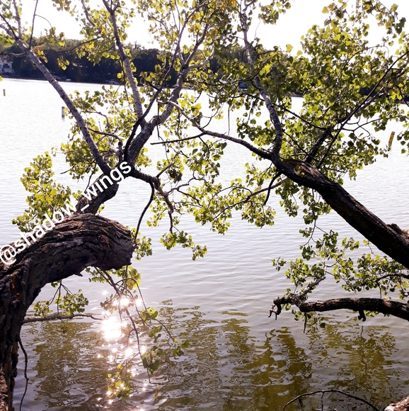 Alternative Earth Tan Crewneck Knit Shirt - Size 3XL Men's Short Sleeve Tee - Picture 9 of 9